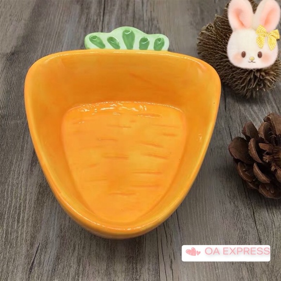 Brand new Carrot Bowl for Small Animals - bunnies,chinchillas - Picture 2 of 3